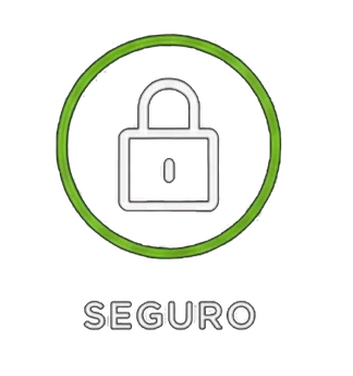 Seguro